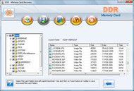 Memory Card Data Picture Recovery screenshot